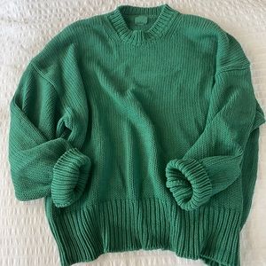 Babaa no. 16 in tree fern